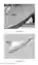 Fig. 14 - Direct 3-D drawing by employing camera view constraints