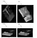 Fig. 01 - Visualizing a time-variant parameter in a biological structure