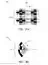 Fig. 10 - Visualizing a time-variant parameter in a biological structure