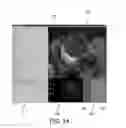 Fig. 14 - Visualizing a time-variant parameter in a biological structure