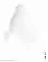 Fig. 06 - Diffusion-based interactive extrusion of two-dimensional images into three-dimensional models