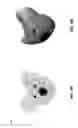 Fig. 12 - Diffusion-based interactive extrusion of two-dimensional images into three-dimensional models