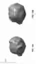 Fig. 17 - Diffusion-based interactive extrusion of two-dimensional images into three-dimensional models