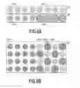 Fig. 07 - Image processor, printing apparatus, and image processing method