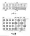 Fig. 08 - Image processor, printing apparatus, and image processing method