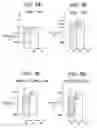 Fig. 09 - Solid-state imaging device and imaging apparatus