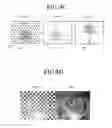 Fig. 08 - Integrated Display Camera Using Masked Display Elements