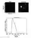 Fig. 40 - Image mapping spectrometers