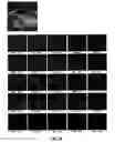 Fig. 43 - Image mapping spectrometers