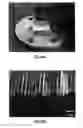 Fig. 45 - Image mapping spectrometers