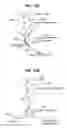 Fig. 17 - OPTICAL MEASUREMENTS OF PROPERTIES IN SUBSTANCES USING PROPAGATION MODES OF LIGHT