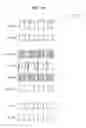 Fig. 08 - Method of storing E-fuse data in flash memory device