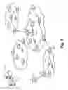Fig. 02 - Ascertaining per-hop network characteristics