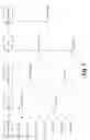 Fig. 08 - Ascertaining per-hop network characteristics