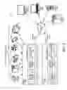Fig. 02 - Selecting transforms for compressing visual data