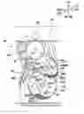 Fig. 01 - Developing device and image forming apparatus having the same