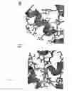 Fig. 06 - Methods and compositions for inhibition of BCL6 repression