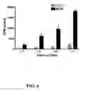 Fig. 07 - Multivalent constructs for therapeutic and diagnostic applications