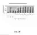 Fig. 22 - Multivalent constructs for therapeutic and diagnostic applications