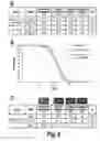 Fig. 06 - METHODS OF IDENTIFYING MODULATORS OF THE PP2A B56 BETA REGULATORY SUBUNIT