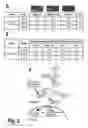 Fig. 07 - METHODS OF IDENTIFYING MODULATORS OF THE PP2A B56 BETA REGULATORY SUBUNIT