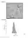 Fig. 02 - Non-invasive detection of complement-mediated inflammation using CR2-targeted nanoparticles