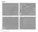 Fig. 09 - Non-invasive detection of complement-mediated inflammation using CR2-targeted nanoparticles