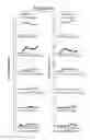 Fig. 10 - Copolymers for suppression of autoimmune diseases, and methods of use