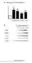 Fig. 07 - Human soluble CD146, preparation and uses thereof