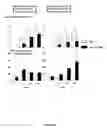 Fig. 09 - Human soluble CD146, preparation and uses thereof