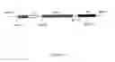 Fig. 02 - Inhibitor of Endogenous Human Interferon-gamma