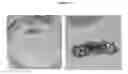 Fig. 07 - Systems and methods for magnetic guidance and patterning of materials
