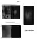 Fig. 08 - Systems and methods for magnetic guidance and patterning of materials