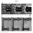 Fig. 22 - Systems and methods for magnetic guidance and patterning of materials