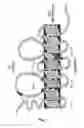 Fig. 02 - G6PC2-Encoded Beta Cell Surface Tags