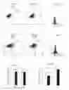Fig. 06 - Enhanced immune response against infections