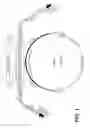 Fig. 02 - PARAPOXVIRUS VECTORS