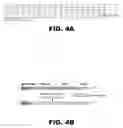 Fig. 07 - Recombinant bacterium capable of eliciting an immune response against  