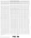 Fig. 08 - Recombinant bacterium capable of eliciting an immune response against  