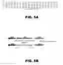 Fig. 09 - Recombinant bacterium capable of eliciting an immune response against  