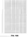 Fig. 35 - Recombinant bacterium capable of eliciting an immune response against  
