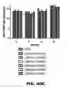Fig. 72 - Recombinant bacterium capable of eliciting an immune response against  
