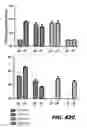 Fig. 77 - Recombinant bacterium capable of eliciting an immune response against  