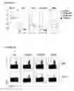 Fig. 07 - COMPOSITIONS COMPRISING PRFA* MUTANT LISTERIA AND MEHTODS OF USE THEREOF