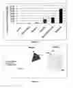 Fig. 07 - HONEY ANALYSIS
