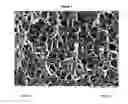 Fig. 02 - Nanoporous foamed active compound-containing preparations based on pharmaceutically acceptable thermoplastically workable polymers