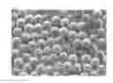Fig. 06 - Deformed shaped particles and method for producing the same