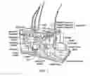Fig. 02 - Multilayer Scaffold