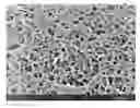Fig. 01 - Nanoporous polymer foams