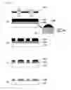 Fig. 02 - Laser-reflective mask and method for manufacturing same